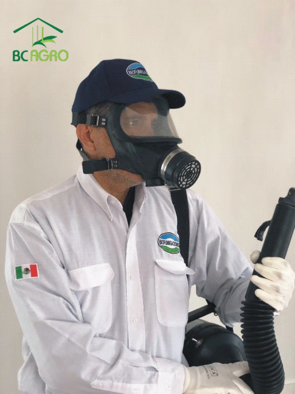 Personal Profesional&nbsp;